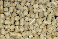 Stoneyford biomass boiler costs