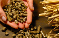 free Stoneyford biomass boiler quotes